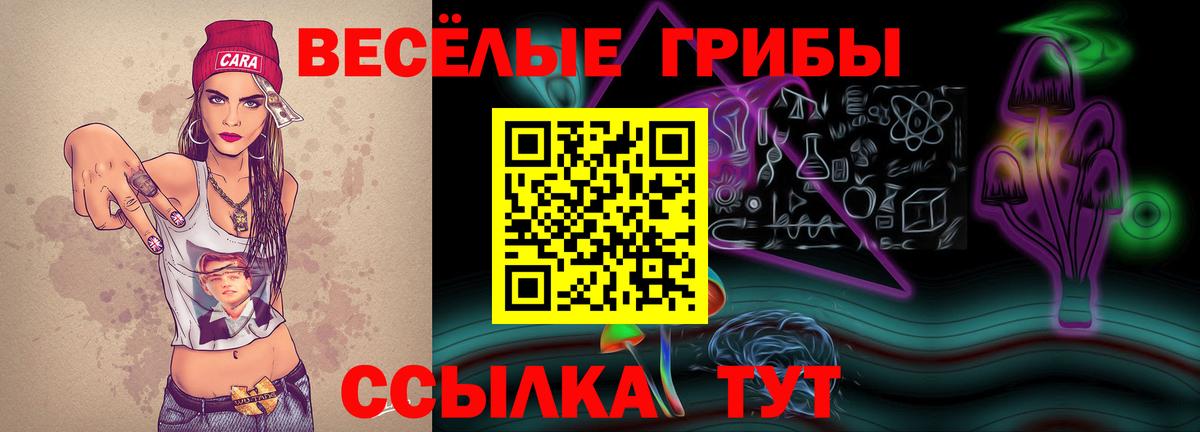 Галлюциногенные грибы Psilocybe Гудермес