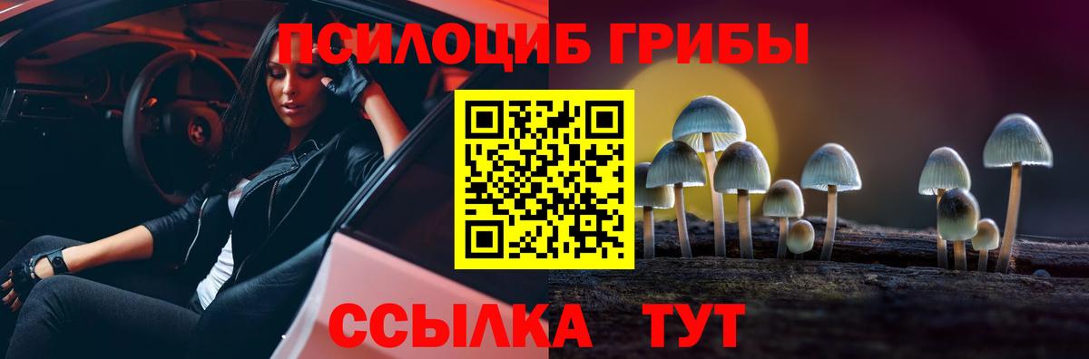 Гудермес  Псилоцибиновые грибы MAGIC MUSHROOMS  Вход с VPN 